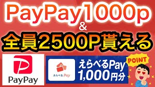 これでPayPay、dポイント1000円分貰える！\u0026毎月アマギフの新キャンペーン‼︎