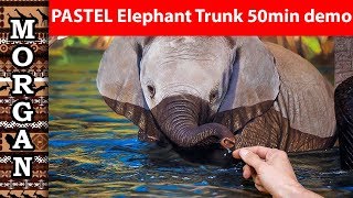 Pastel Pencil / PanPastel Lesson - Realism - Elephant Trunk Jason Morgan wildlife artist