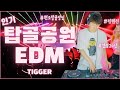 DJ티거 | 클럽노래+탑골EDM+신청곡 한방에 틀기!