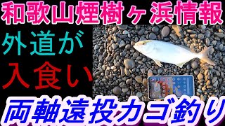 07-03　煙樹ヶ浜釣り情報・実釣編