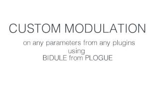 Custom Modulation Tools using BIDULE