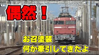 【凄い】え！豪華列車の登場！運良過ぎるでしょ！