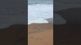 ഇത് എന്താ പഞ്ഞി പോലുള്ള വെള്ളമോ😱🏞️#viral#shortsvideo #shortsvideo#trending#kollambeach#kollam#beach#