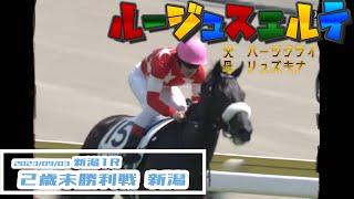 2023/09/03【パドック返し馬つき】新潟1R　２歳未勝利戦　☆ルージュスエルテ　ハーツクライ　＃レースは10分ころから