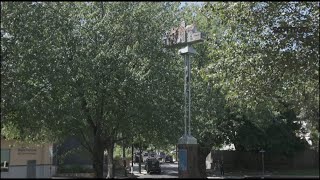 Exploring Cambridge Alewife Linear Park to Davis Square