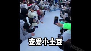 盘点哈尔滨有多宠南方小土豆，本地人都羡慕了  #南方小土豆