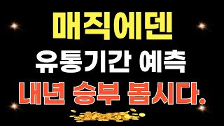 [매직에덴 전망] 유통기간 예측 // 내년 승부 봅시다. (홀더분들 꼭!! 보세요)