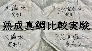 【比較実験】水道水還流した真鯛はどんな味がするのか調べたら驚きの結果でした。【狂気の血抜き50】163