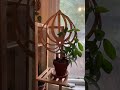 house plant support idea designer trellis for plants wooden plant support made in usa