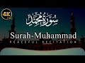 Surah Muhammad Full ||By Qari Ali Akbar online Quran Teacher With Arabic Text (HD)|سورة محمد|