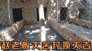 赵老板的犬舍封顶大吉，心中无比的喜悦，说话的语无伦次了！