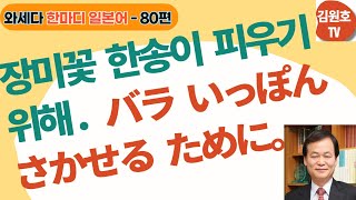 와세다한마디일본어-80편, (사역표현) 장미꽃 한송이 피우기위해 ばらいっぽん,さかせるために. せる, させる용법을 공부합니다, 용법