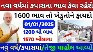 કપાસમાં ઉછાળો | live cotton trading price in BOTAD APMC,kapas Na bhav |01 January 2025 | Commodity