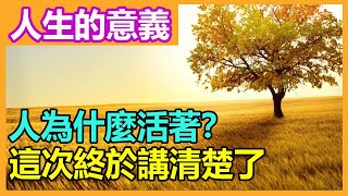 人生的意義是什麼？ 人為什麼活著？ 這次終於講清楚了