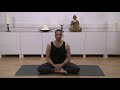 ashtanga yoga adjustment videos with ryan spielman