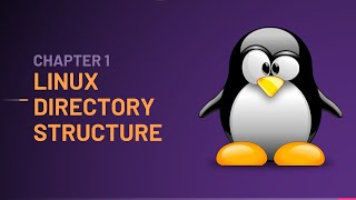Linux Directory Structure | Mastering Linux