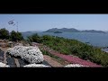 志々島　天空の花畑