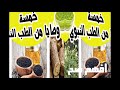 خمسة وصايا من الطب النبوي