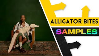 Every Sample From Doechii's Alligator Bites Never Heal