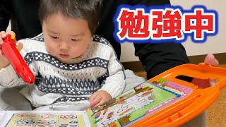 アンパンマンことばずかんで勉強する2歳児