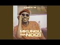 Mkungu Wa Ndizi (feat. Tid)