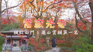 京都嵐山紅葉 I 嵐山賞楓第一名の常寂光寺 I 爬上制高點觀看嵐山街景 I 人煙稀少的竹林之道拍攝處