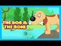 THE GREEDY DOG by KIDS HUT | The Greedy Dog Story in English | The Dog & The Bone