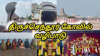 21நாள் விரதம் இருந்து திருச்செந்தூர் முருகன் கோவில் தரிசனம் கண்டிப்பாக பாருங்க #video #youtube#vlog