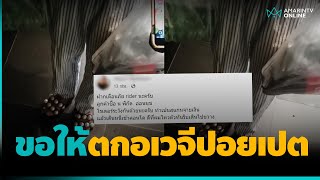 สาวไม่จ่ายตังค์ค่าพิซซ่าแถมไล่ไรเดอร์ไปตก “อเวจีปอยเปต” | คลิปเดียวรู้เรื่อง