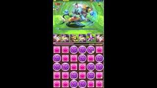 【パズドラ】水の猫龍　超地獄級　初見　Sランク（運）【曲芸士さいつよ】