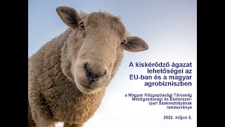 Kiskérődzők: lehetőségek a Brexit után