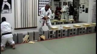 Kyoshi Shihan Robert A. Kristensen of Texas Isshinryu Karate Kai