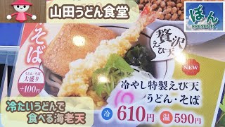 【山田うどん食堂】冷やし海老天うどん💥むし暑い時はこれが美味しい‼️‼️‼️