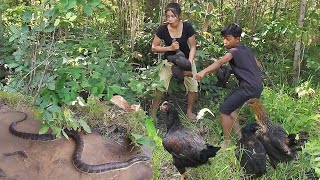 Survival in the rainforest, Cooking big snake for lunch, Catch and cook chicken for jungle food