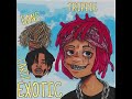 Trippie Redd - EXOTIC (ft. PlayboiCarti & Yung Bans) LEAK!