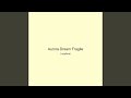 Aurora Dream Fragile