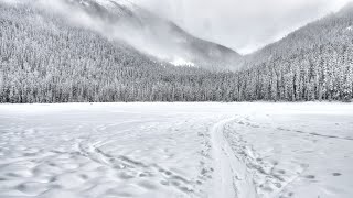 falling snow・神秘的に降り続く雪とリラクゼーション音楽、疲れた身体を癒してくれる