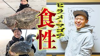 【ヒラメ釣り】食性がわかればヒラメが釣れる！永久保存版