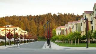 Humboldt State University - 5 Tips For a Solid Nightlife