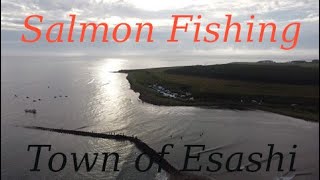 [Aerial Journey] Salmon Fishing Day at Esashi  Okhotsk Cool, Hokkaido.#ExploreJapan #Drone #nature