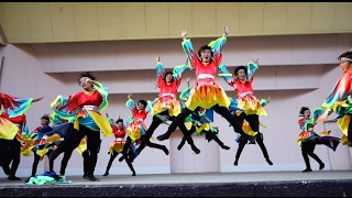 愛知淑徳大学よさこい探究会「鳴踊」　龍馬よさこい 2016.11.12