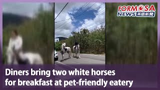 Diners bring two white horses for breakfast at pet-friendly eatery｜Taiwan News