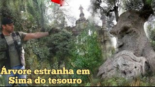 Encontramos o tesouro do padre don duard , enterrado no pé da árvore.