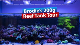 Brodie's 200g Saltwater Aquarium Reef Tank Tour 2021