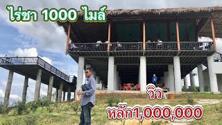 Vlog.. ไร่ชา 1000 ไม เที่ยวให้ได้วิวหลักล้าน