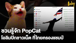 ชวนรู้จัก POPCAT โอลิมปิกชาวเน็ต ที่ไทยผงาดแชมป์ ครองแมวตัวที่ 1 ของโลก | workpointTODAY