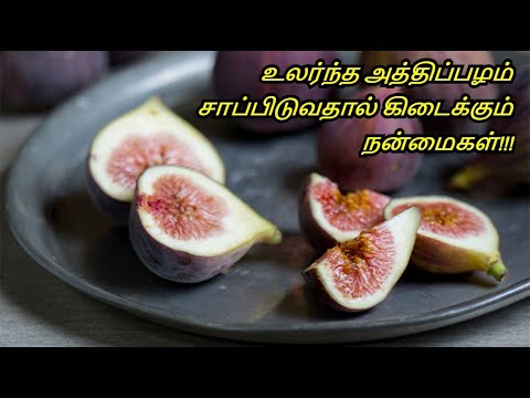 Amazing Benefits of Fig Furit in Tamil - Athipazham Payangal - Health benefits of Athipazham. Amazing Benefits of Fig Furit in Tamil - Athipazham Payangal - Health benefits of Athipazham.