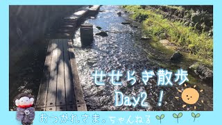 静岡県✴︎三島市　〜源兵衛川 せせらぎ散歩 Day2　Shizuoka-ken  Mishima-shi  Genbe river〜