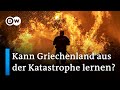 Griechenland: Lernen aus der Feuerkatastrophe? | Focus Europa