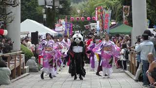 【4K】よさこい魂和 with 情熱オールスターズ　秦野元気祭り春の陣1日目　流し演舞